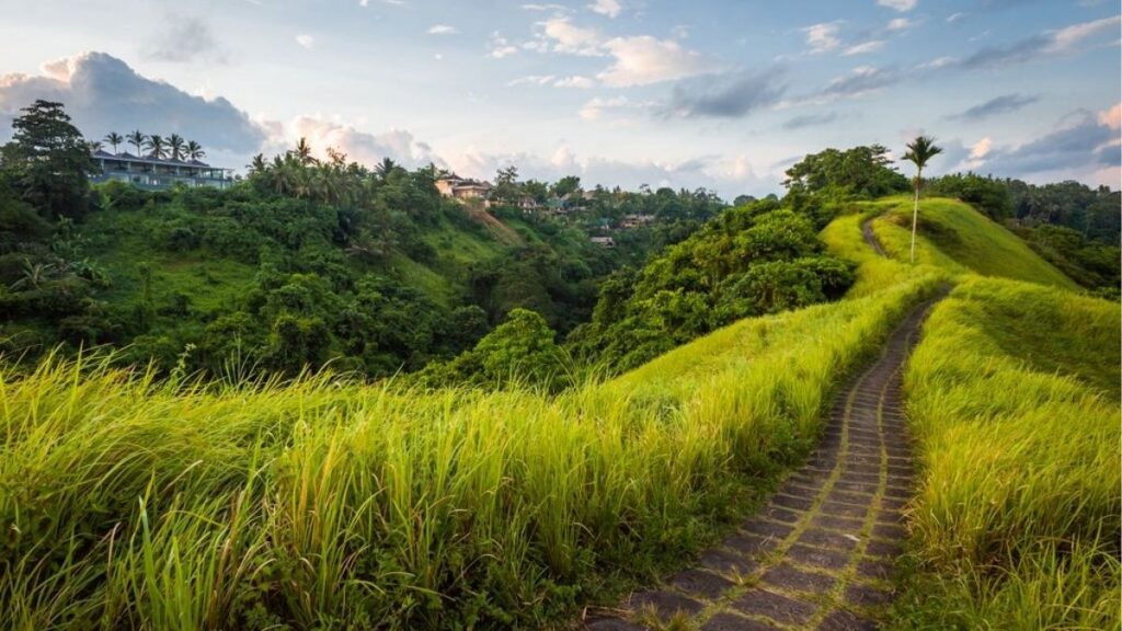 Tuyến từ sân bay Bali DPS về Ubud