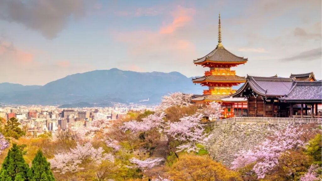 Hoa anh đào mùa xuân tại Kyoto bên đền chùa và phố cổ