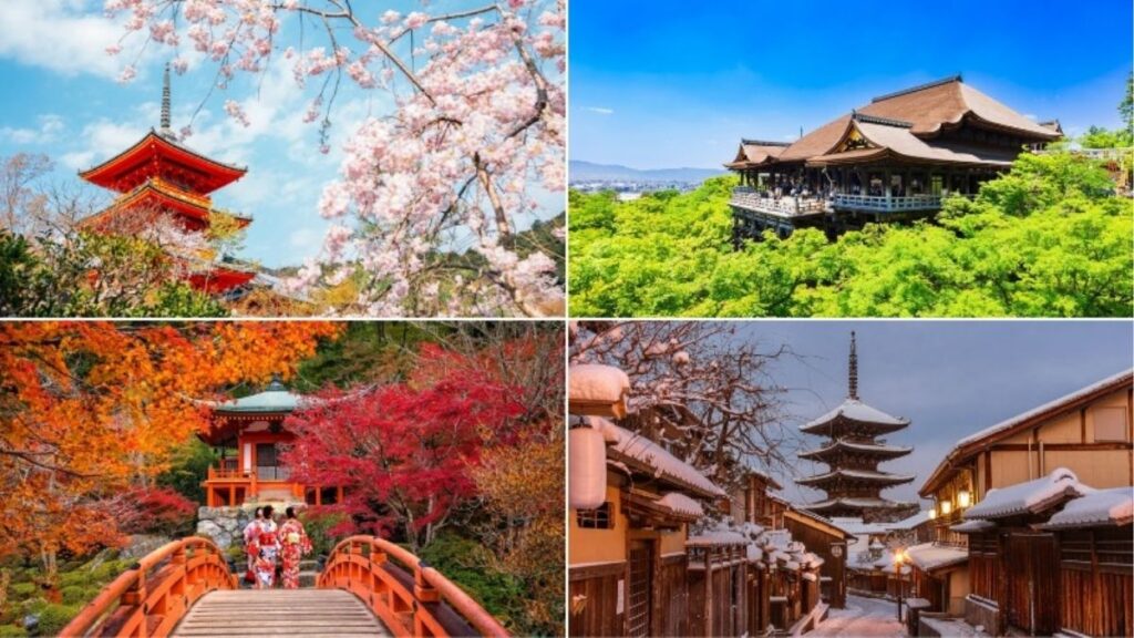 Kyoto bốn mùa với hoa anh đào, mùa hè, lá đỏ và mùa đông